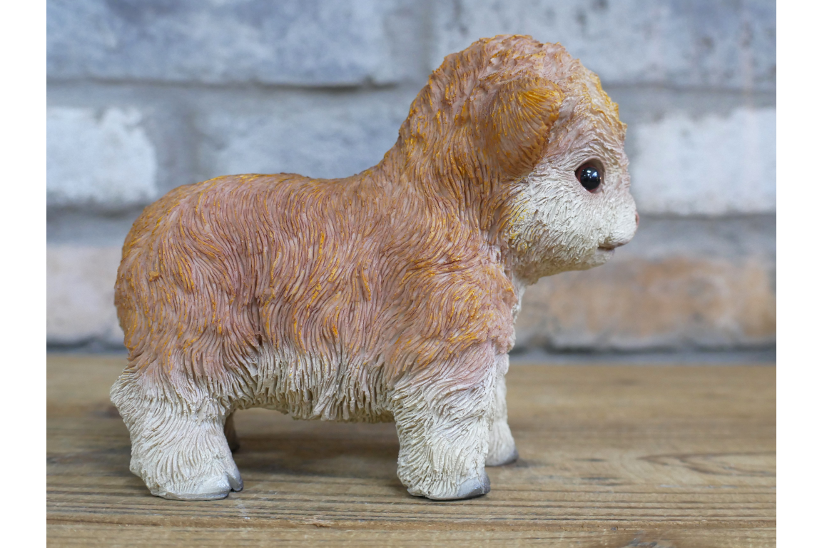 Tiny Baby Cow