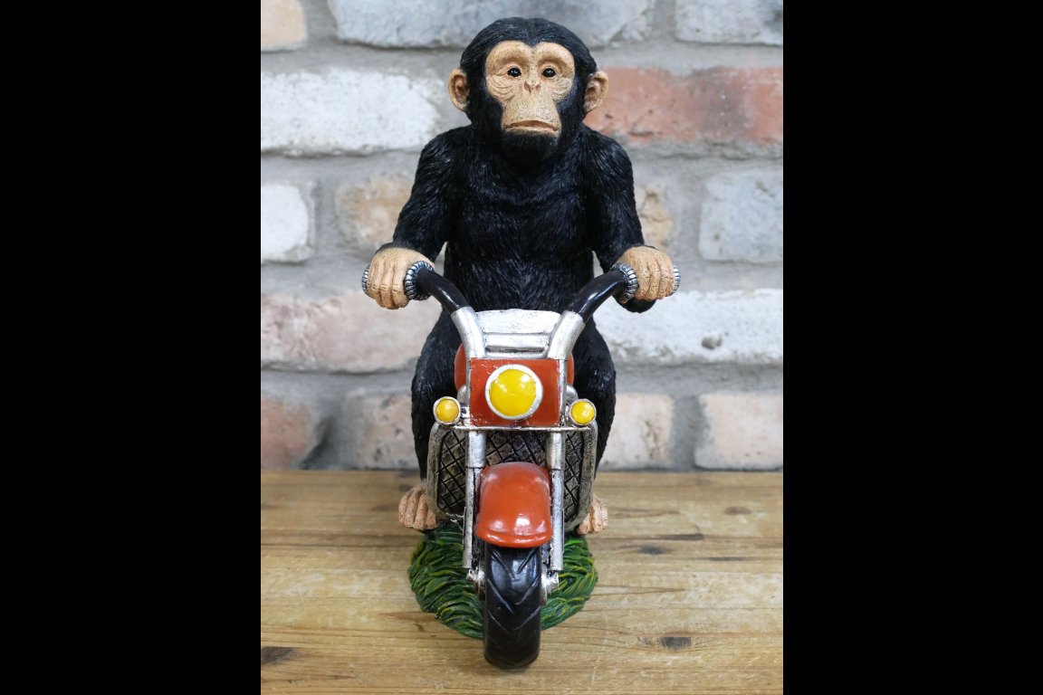 Monkey On Motorbike