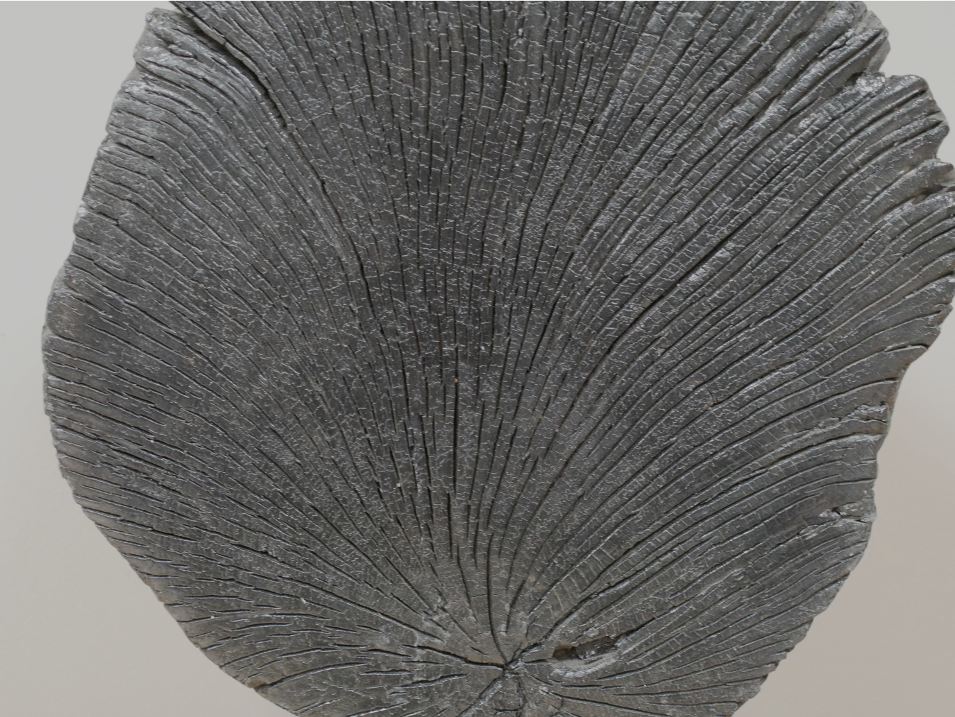 Black Wood Decoration