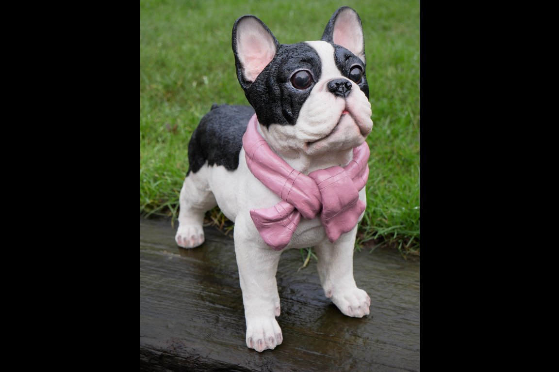 Dog With Scarf