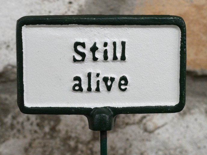 Plant Sign - Still Alive