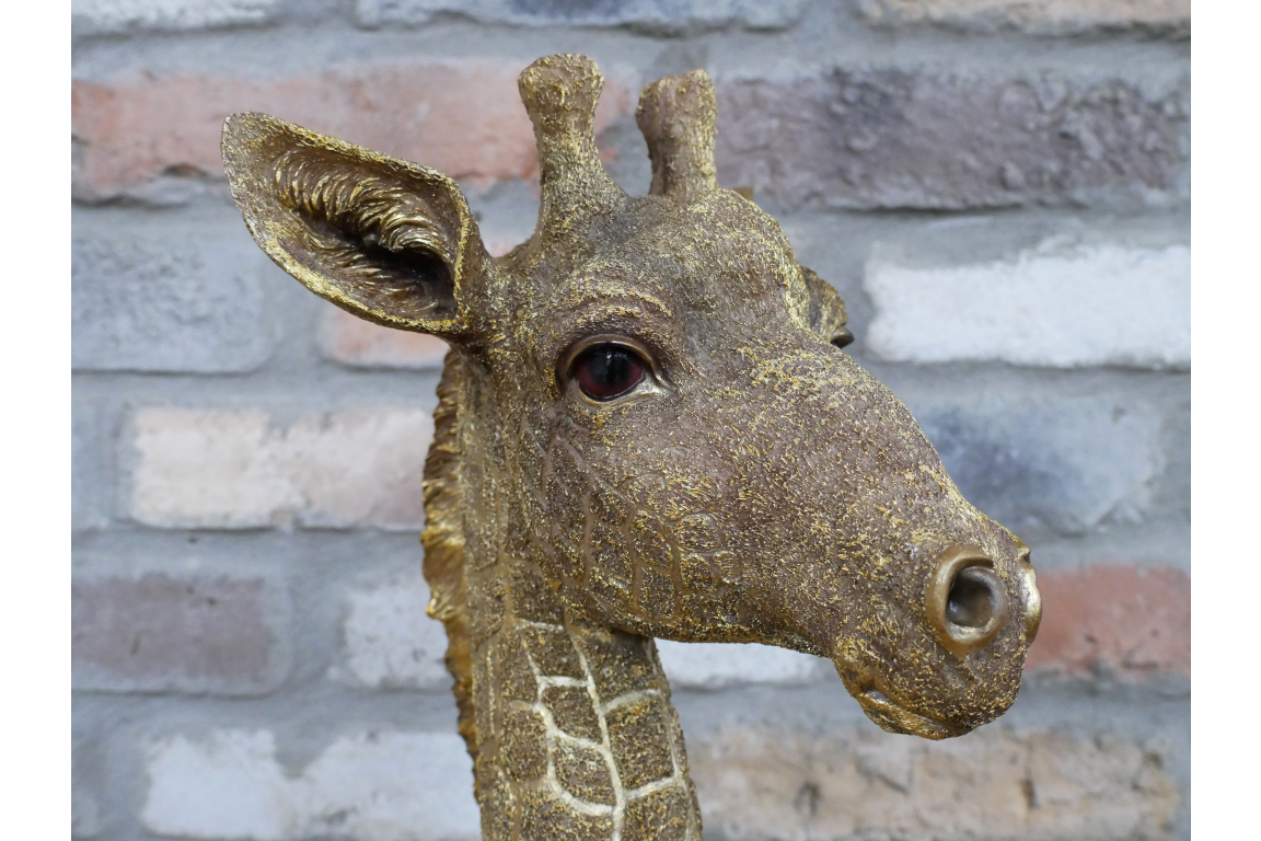 Giraffe Bust