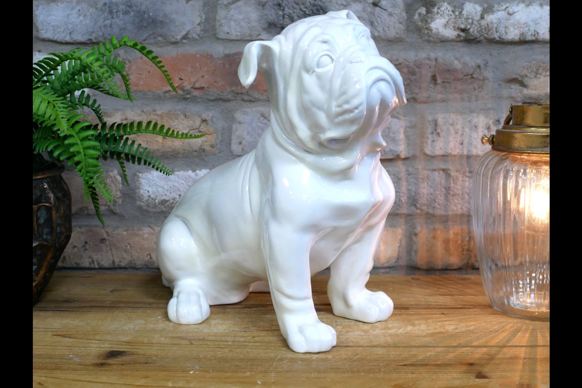 White Bulldog