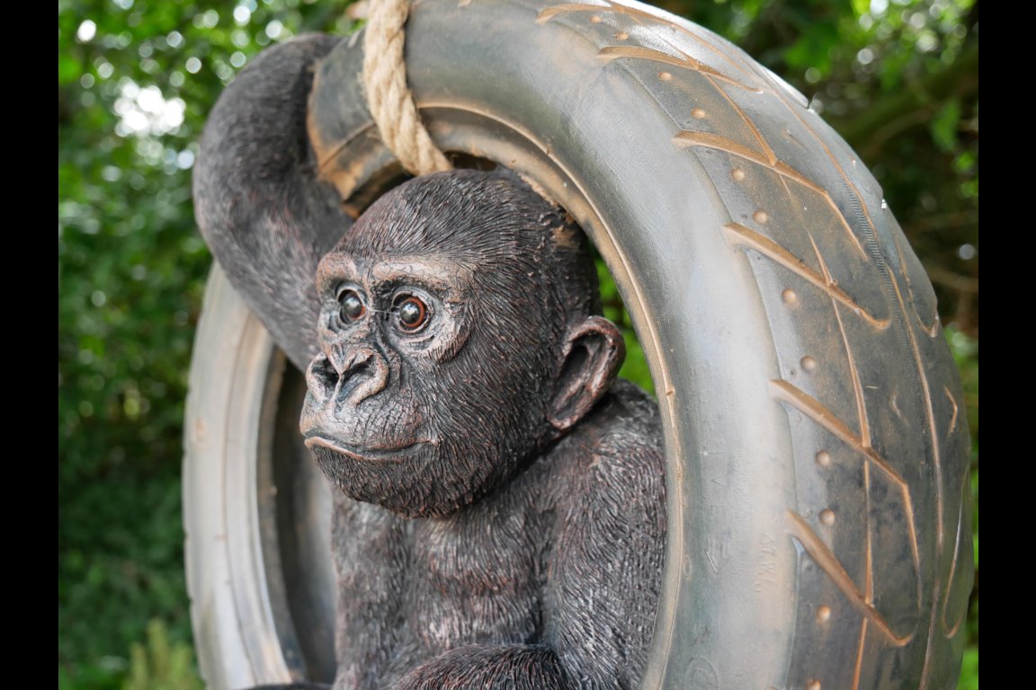 Gorilla On Tyre Swing