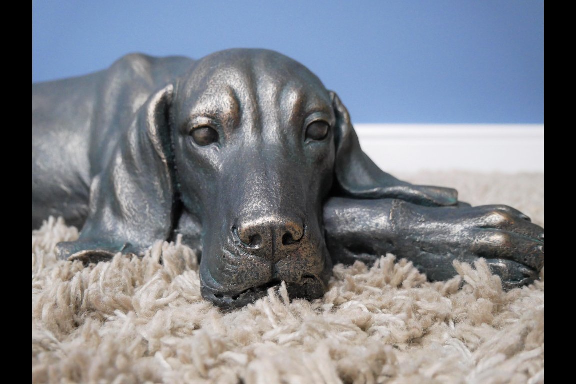 Laying Dog