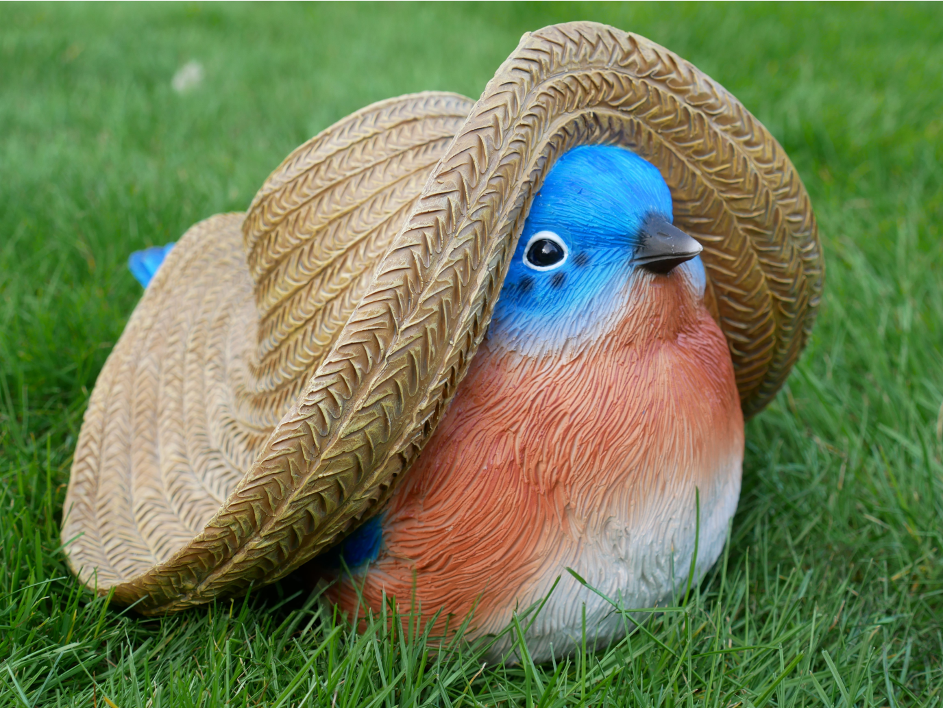 Bird With Big Hat