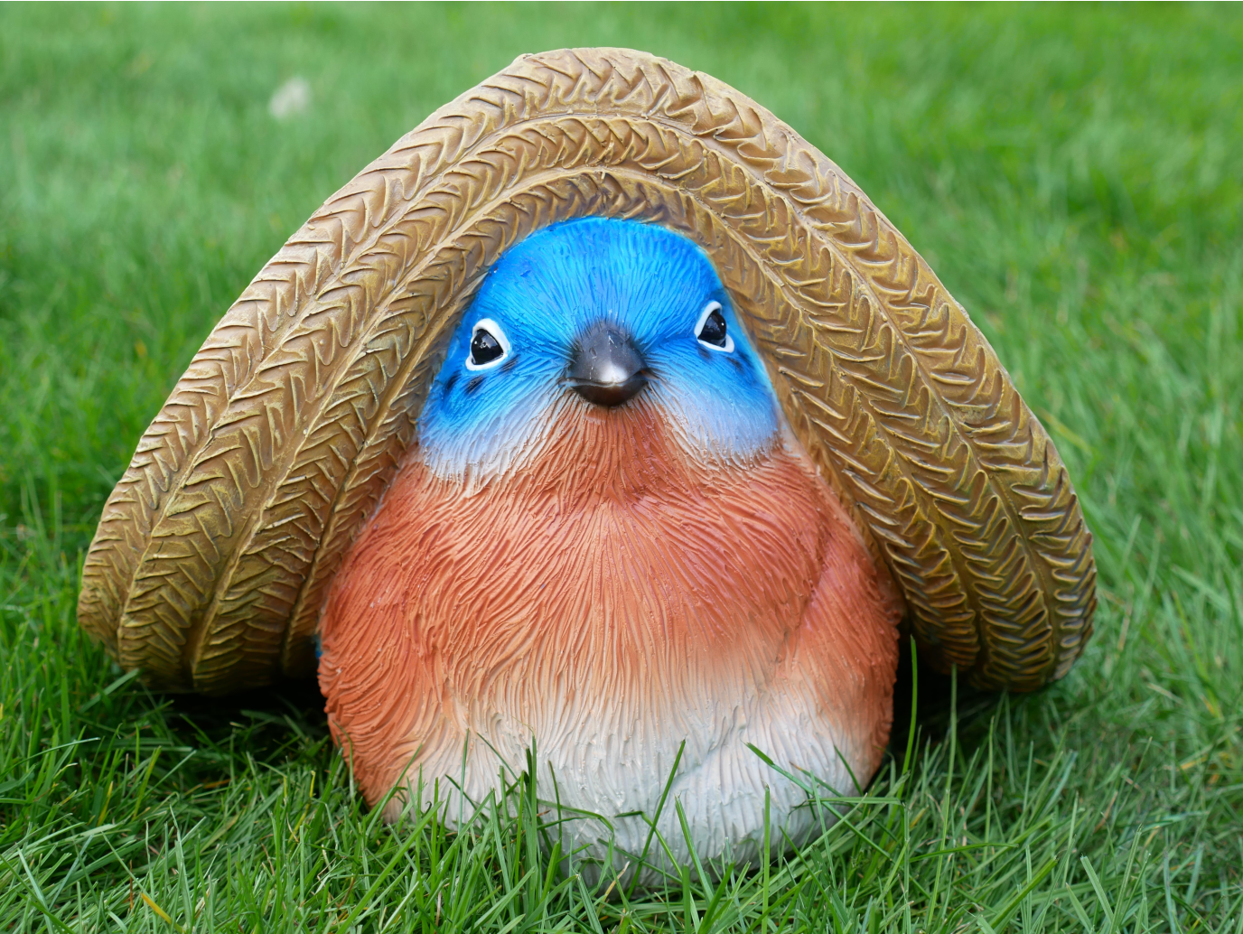 Bird With Big Hat