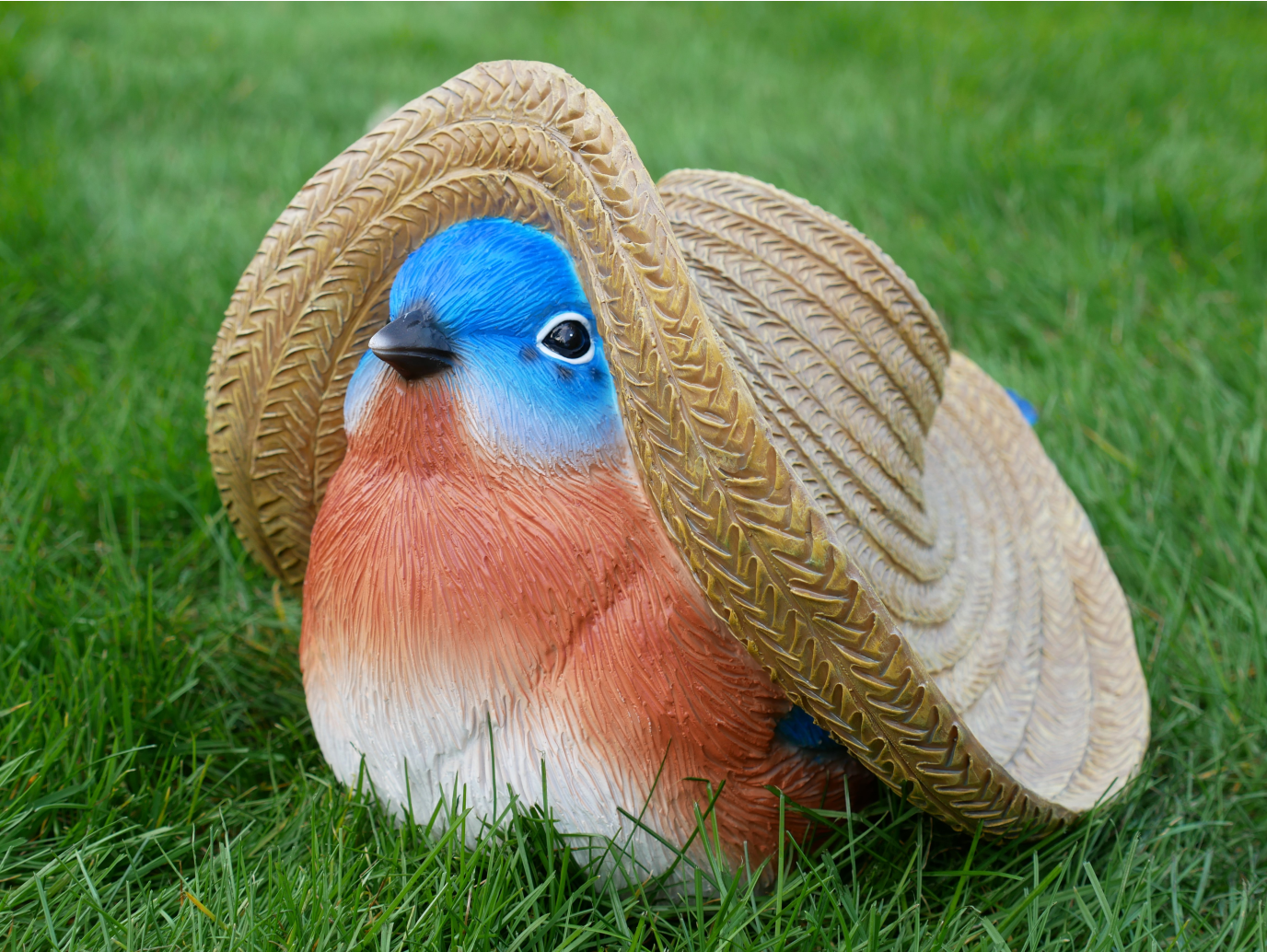 Bird With Big Hat