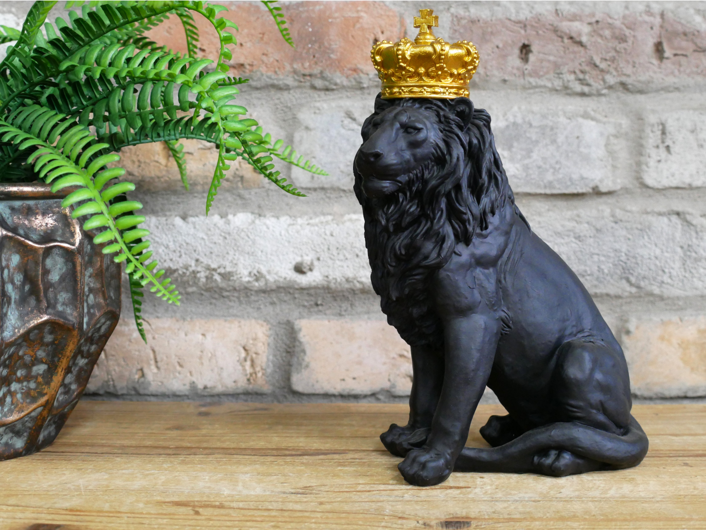 Sitting Lion