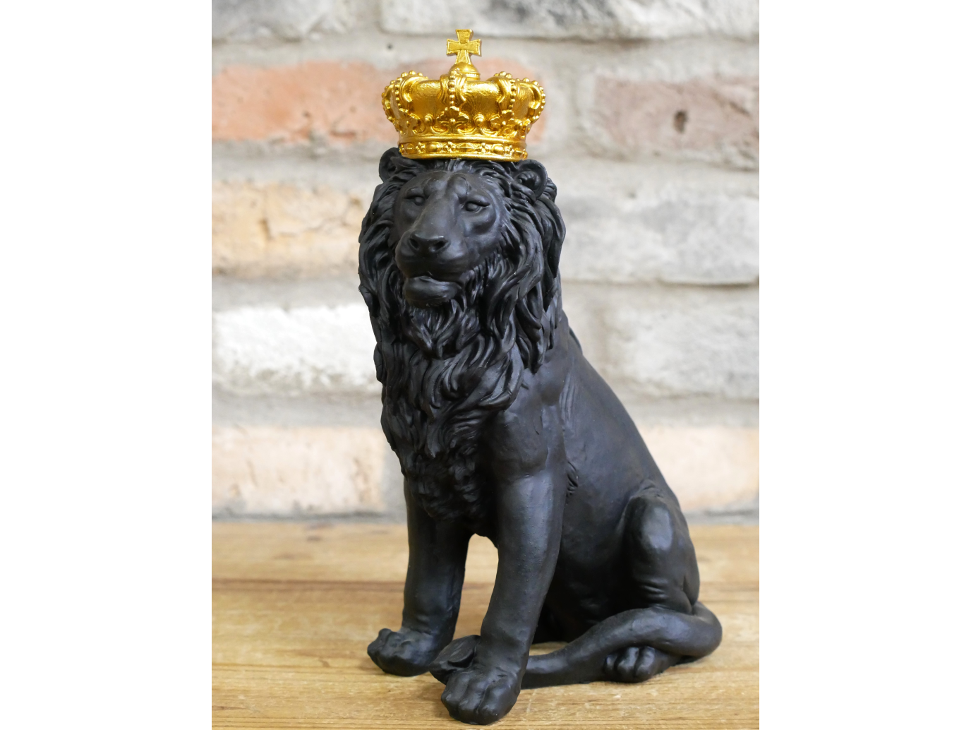 Sitting Lion