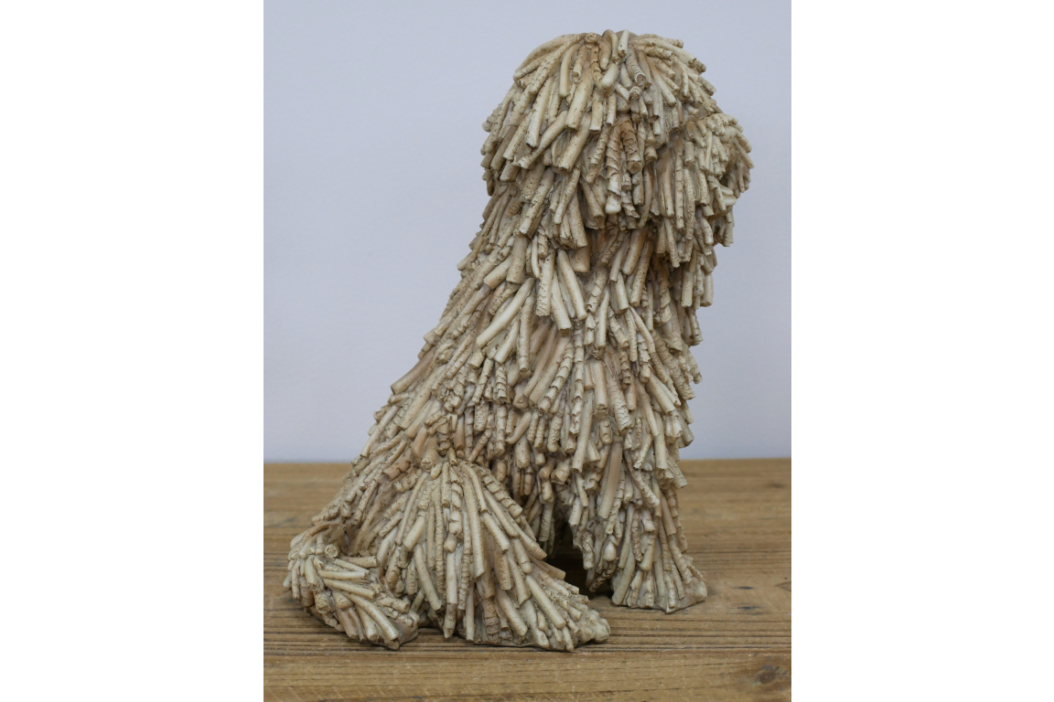 Sitting Shaggy Dog