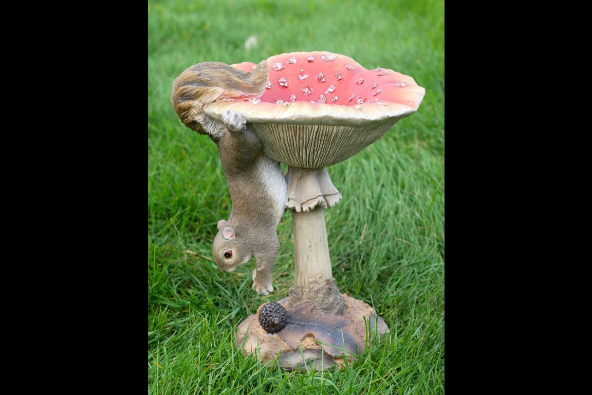 Squirrel On A Mushroom