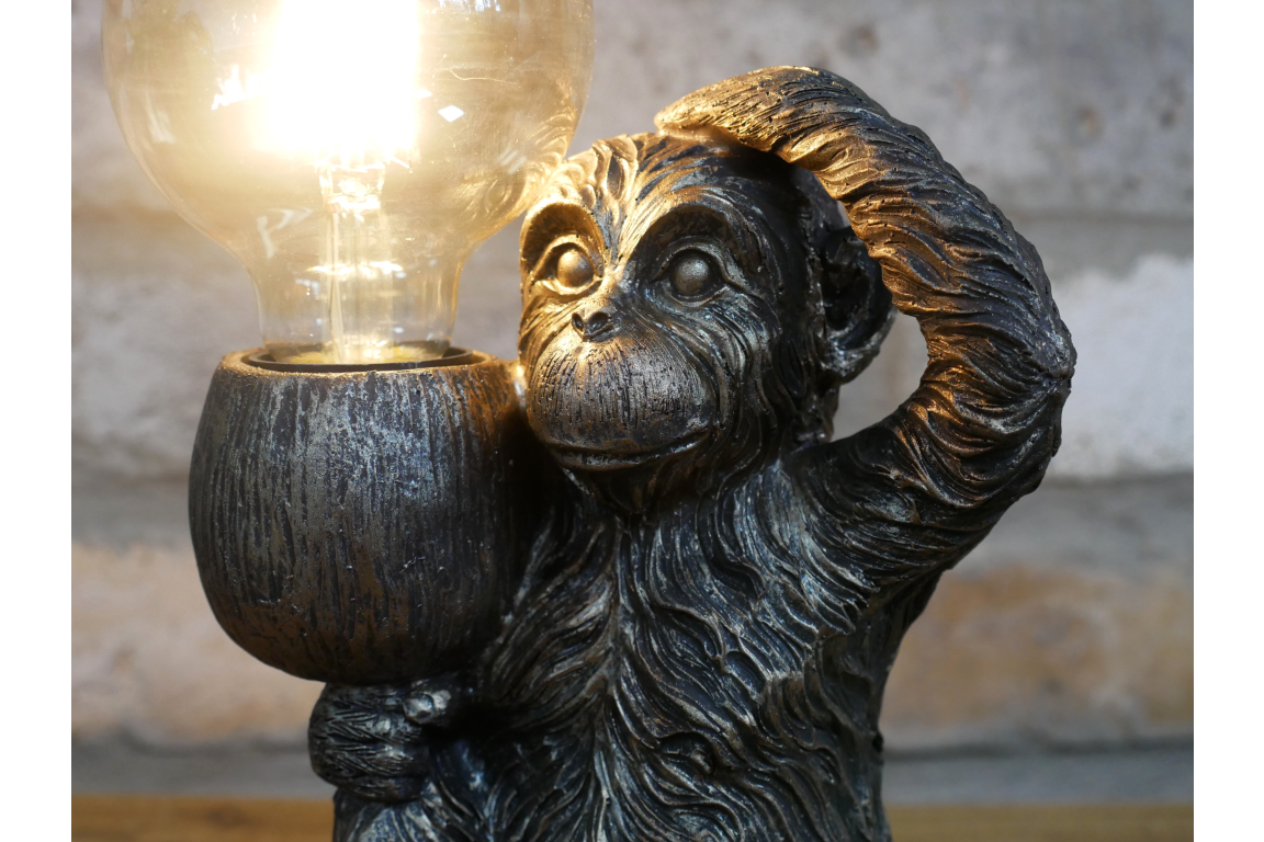 Monkey Light