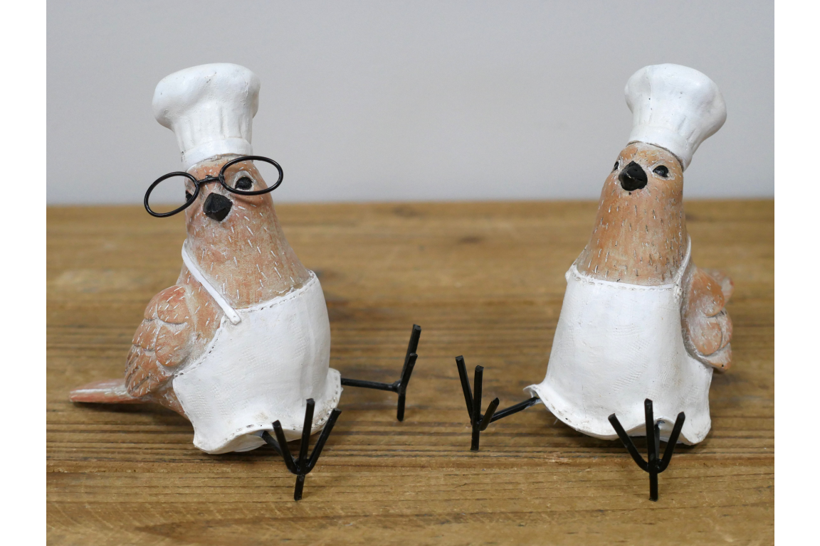 Bird Chef