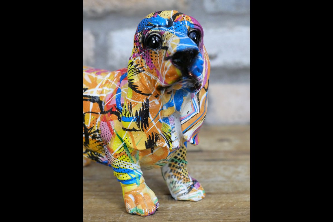 Bassett Hound