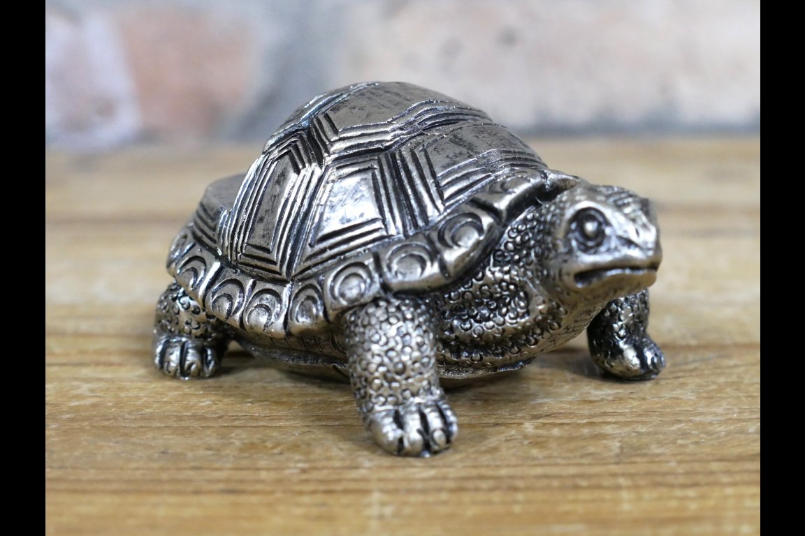 Tortoise Pot Stands (Set of 3)