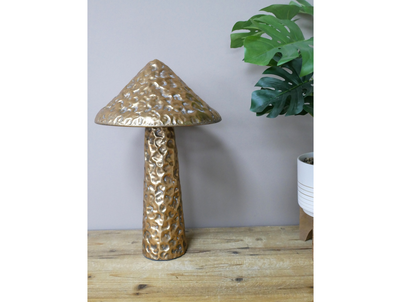 Mushroom