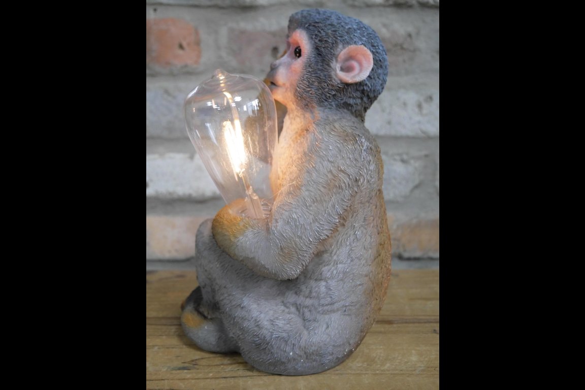 Monkey Light