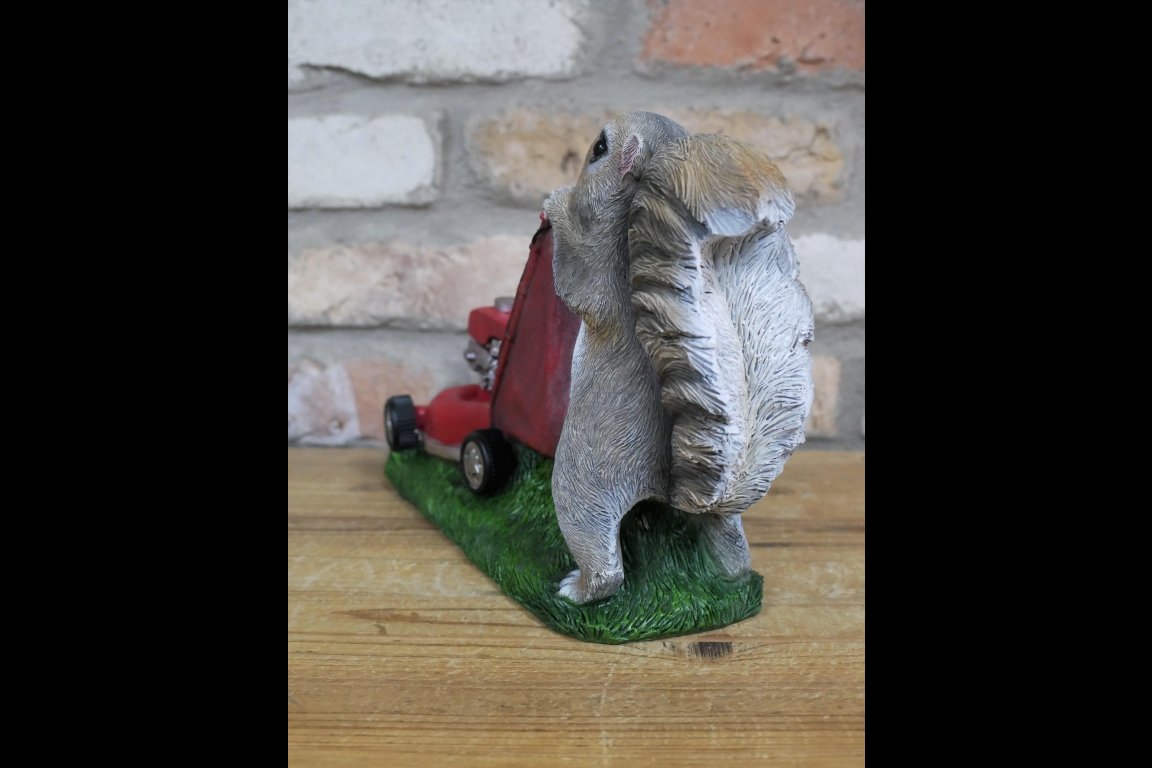Squirrel Grasscutter