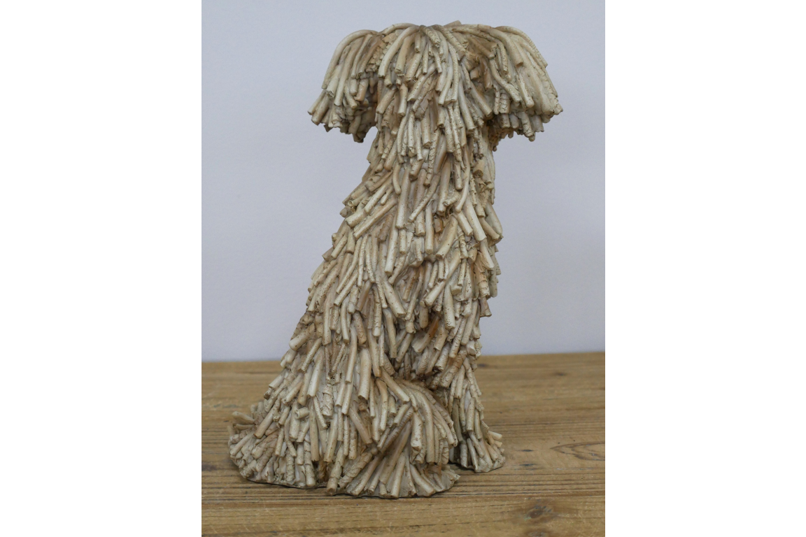 Sitting Shaggy Dog