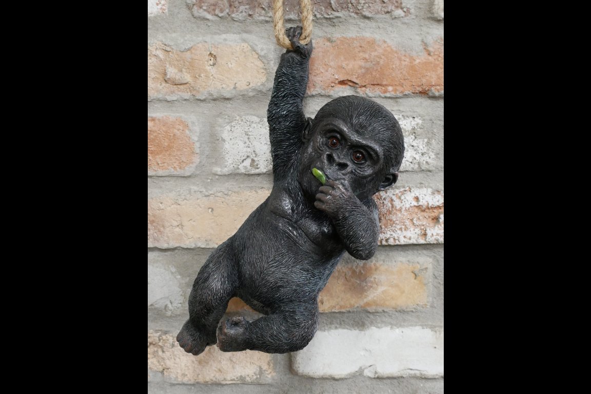 Hanging Baby Gorilla