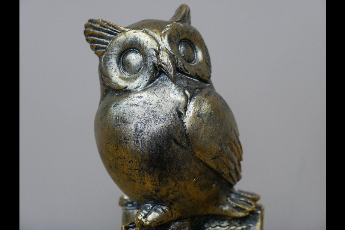 Owl Stood On Books