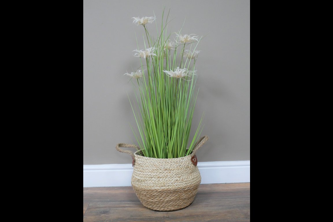 Basket / Planter