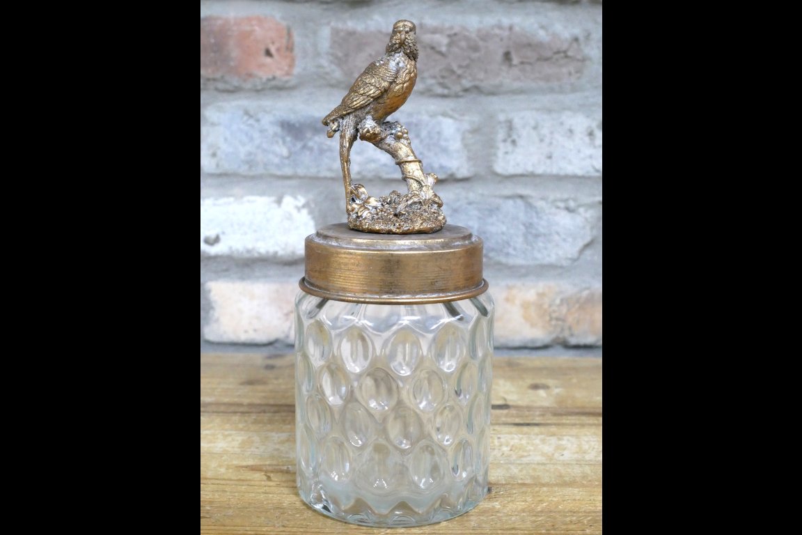 Bird Jar