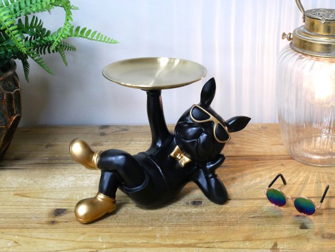 Dog With Tray