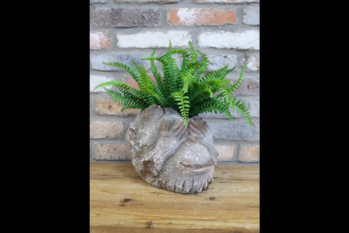 Monkey Head Planter