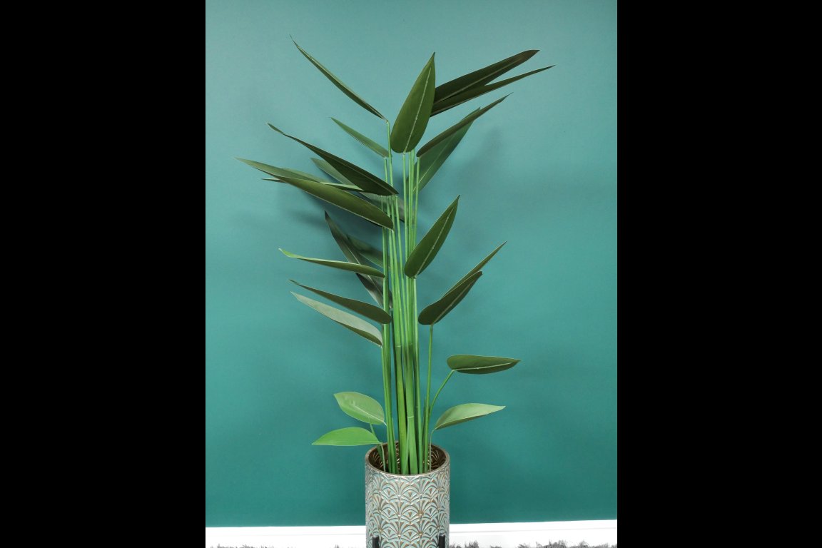 Artificial Canna