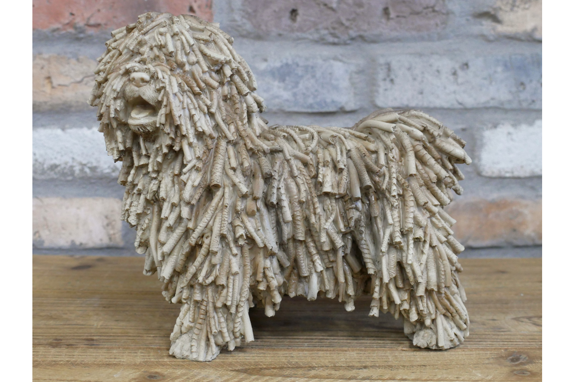 Shaggy Dog