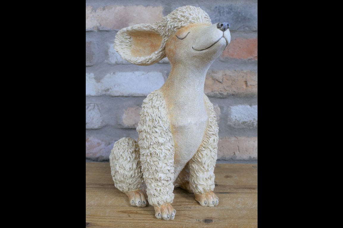 Poodle