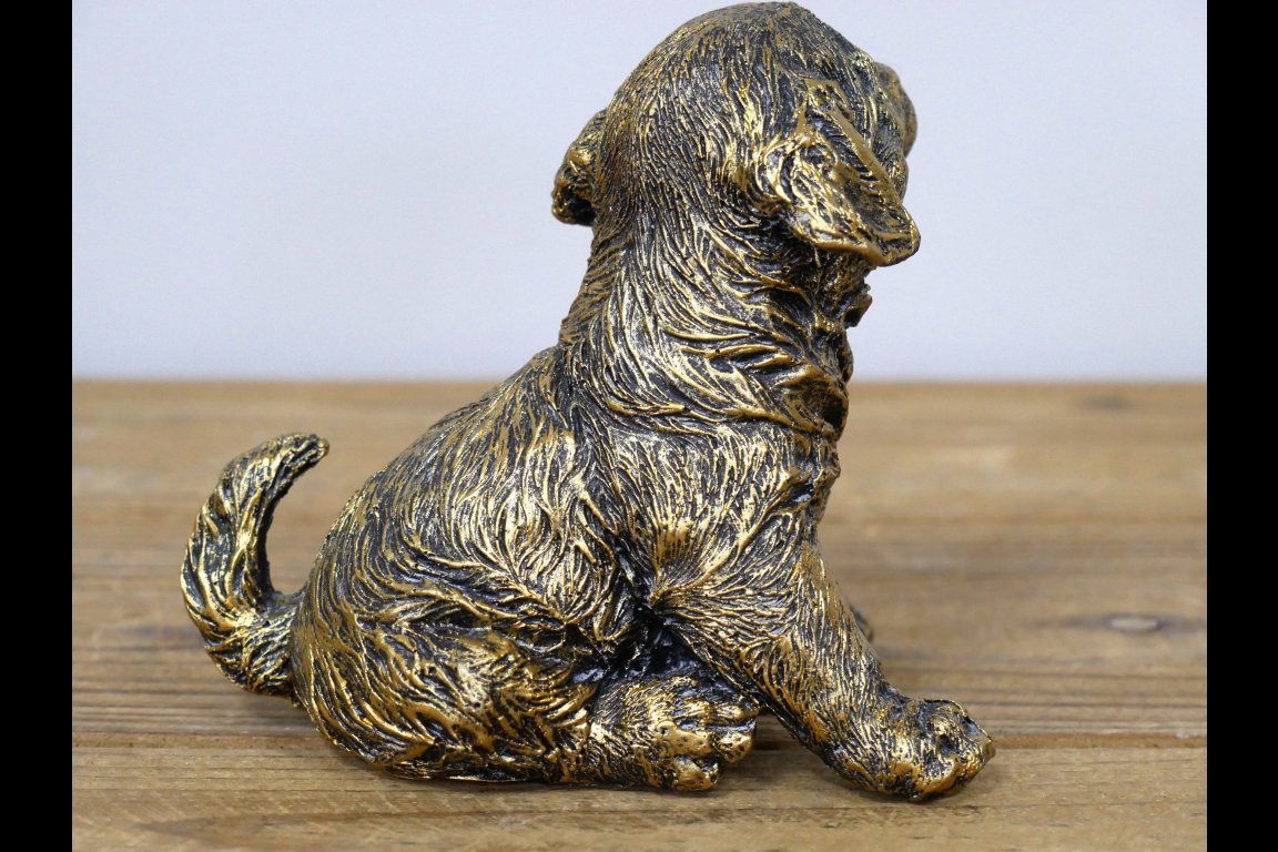 Puppy