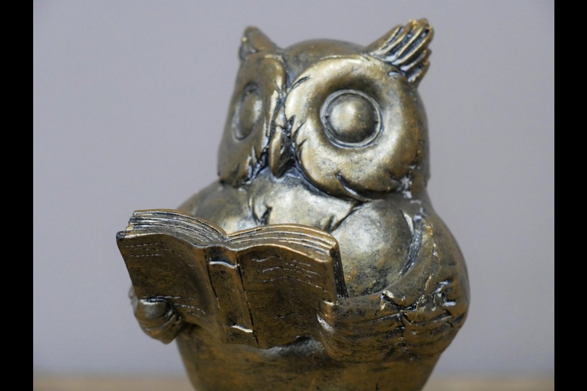 Reading Owl