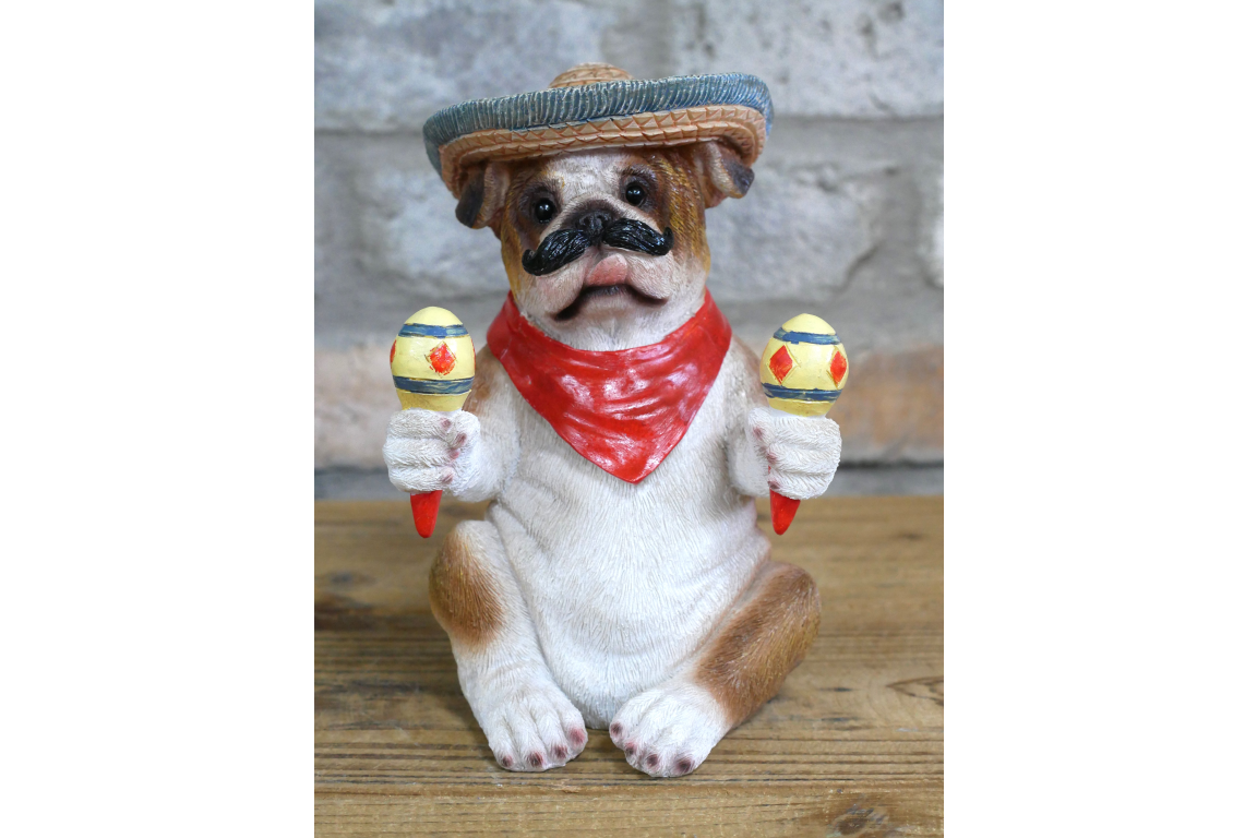 Mexican Bulldog