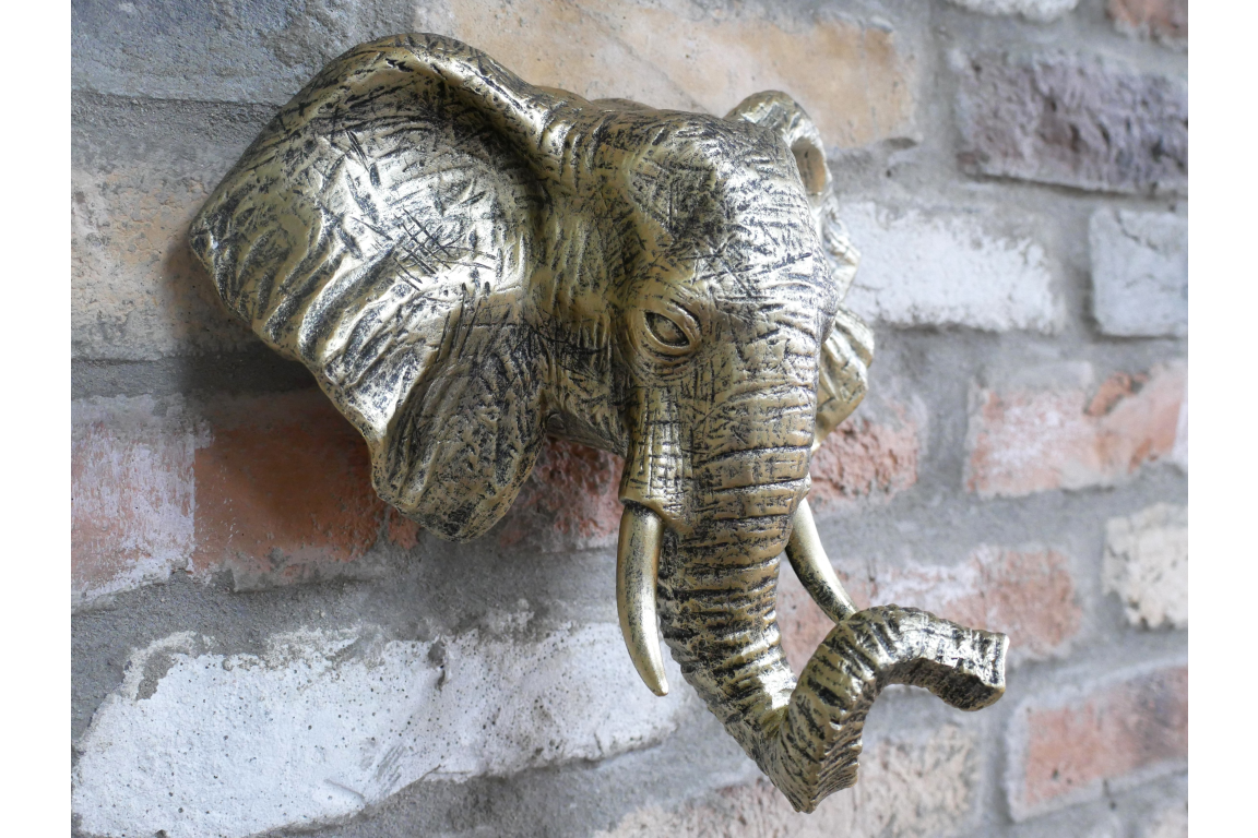 Elephant Head