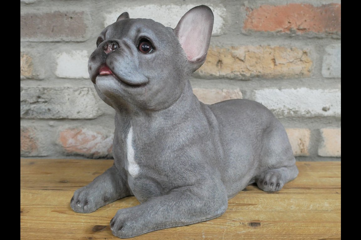 Laying Dog (Frenchie)