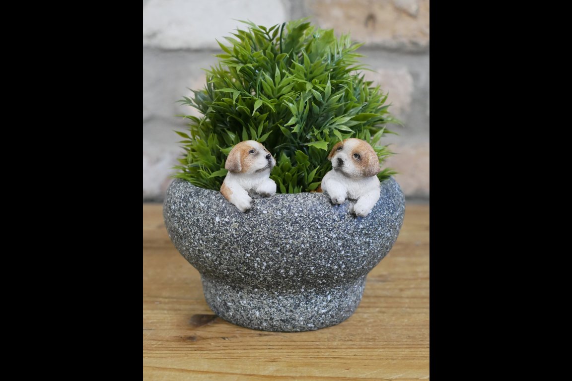 Small Dog Trough