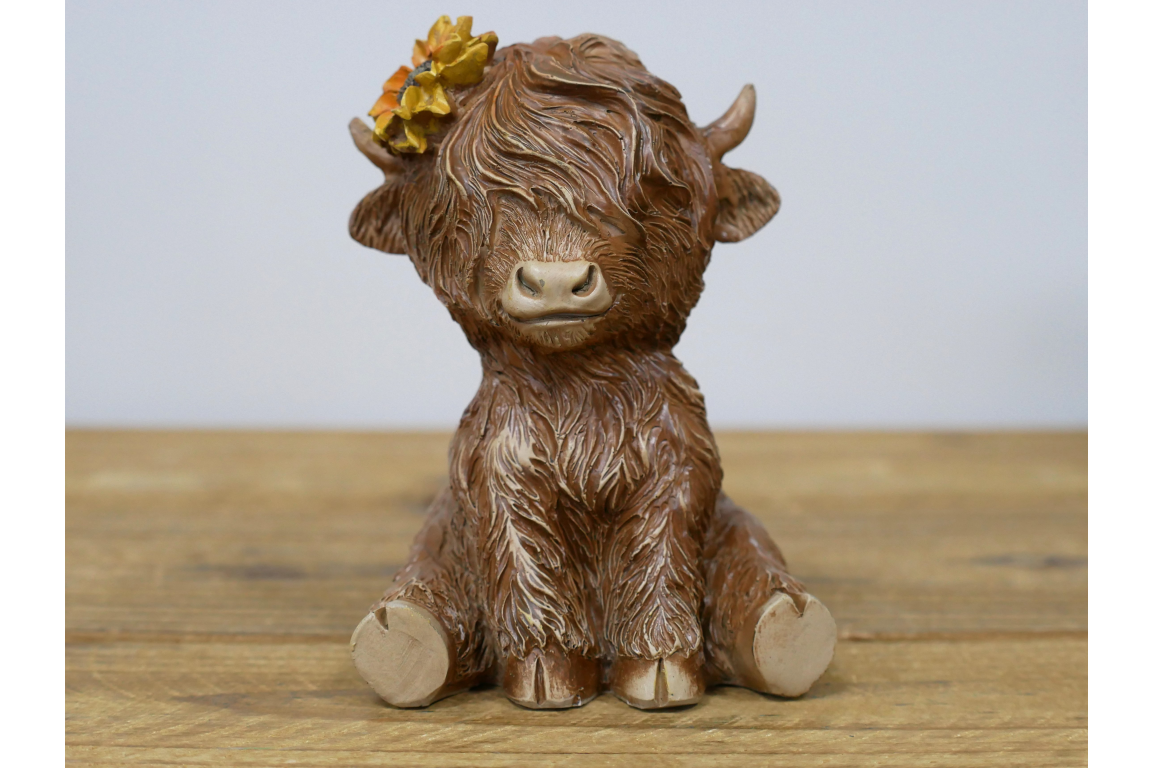 Sitting Highland Cow