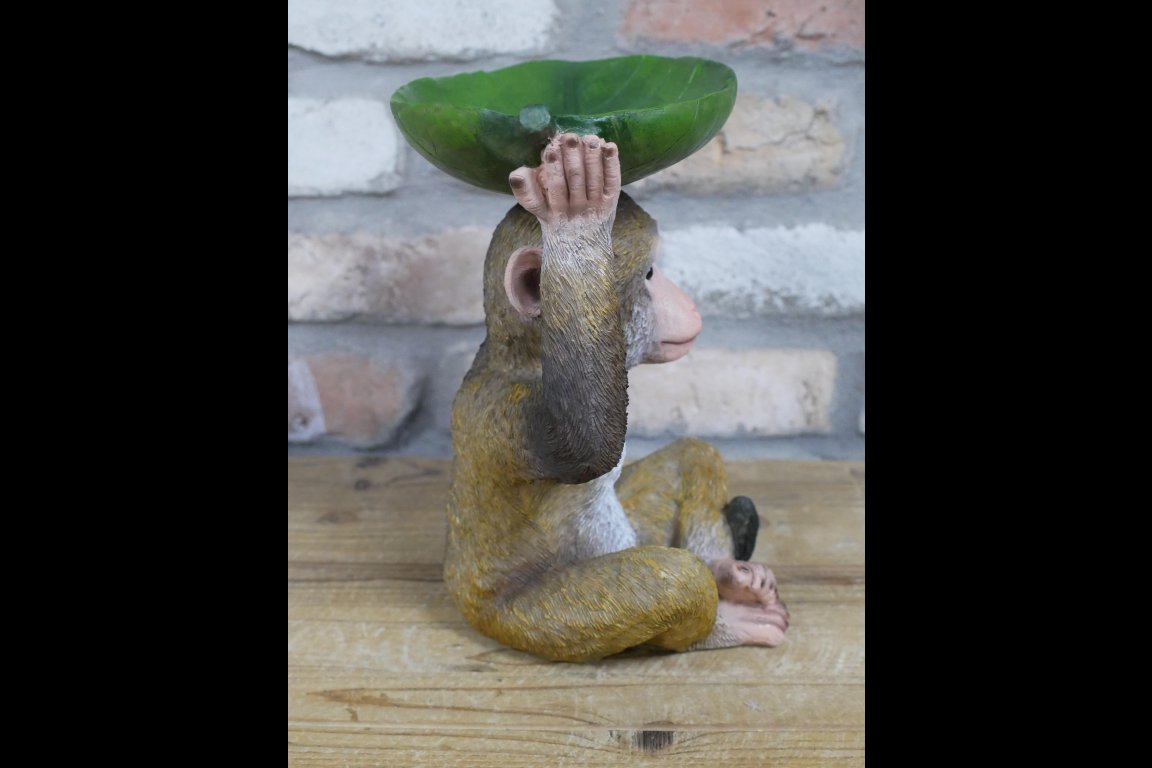 Monkey Leaf Dish