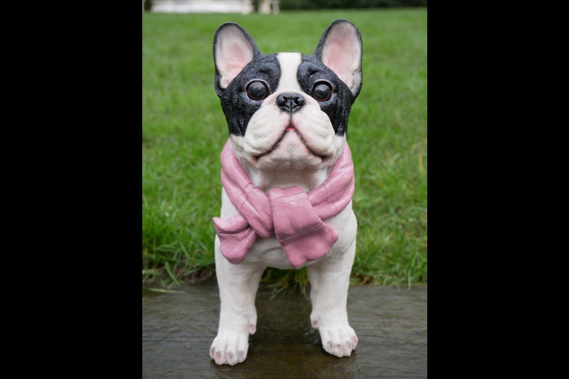 Dog With Scarf