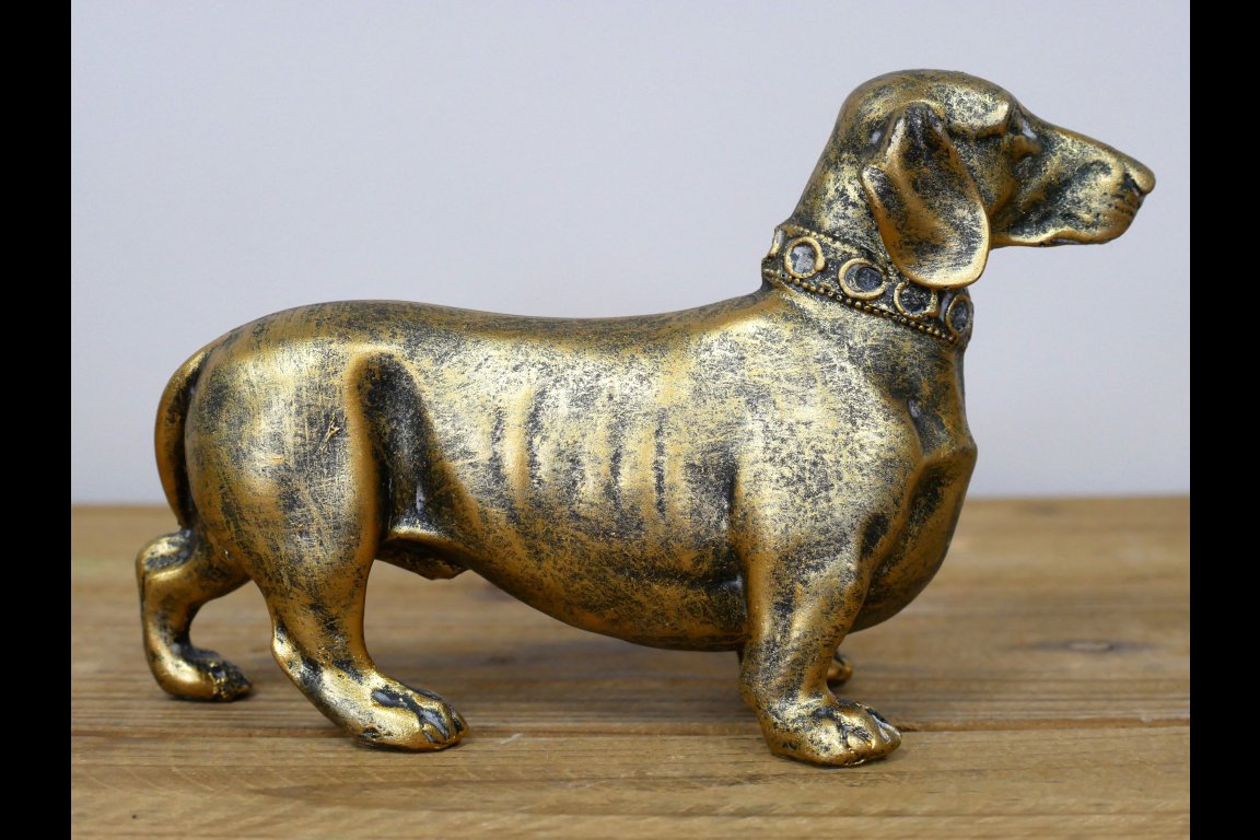 Sausage Dog