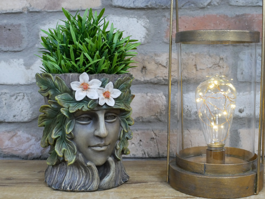 Treeman Planter