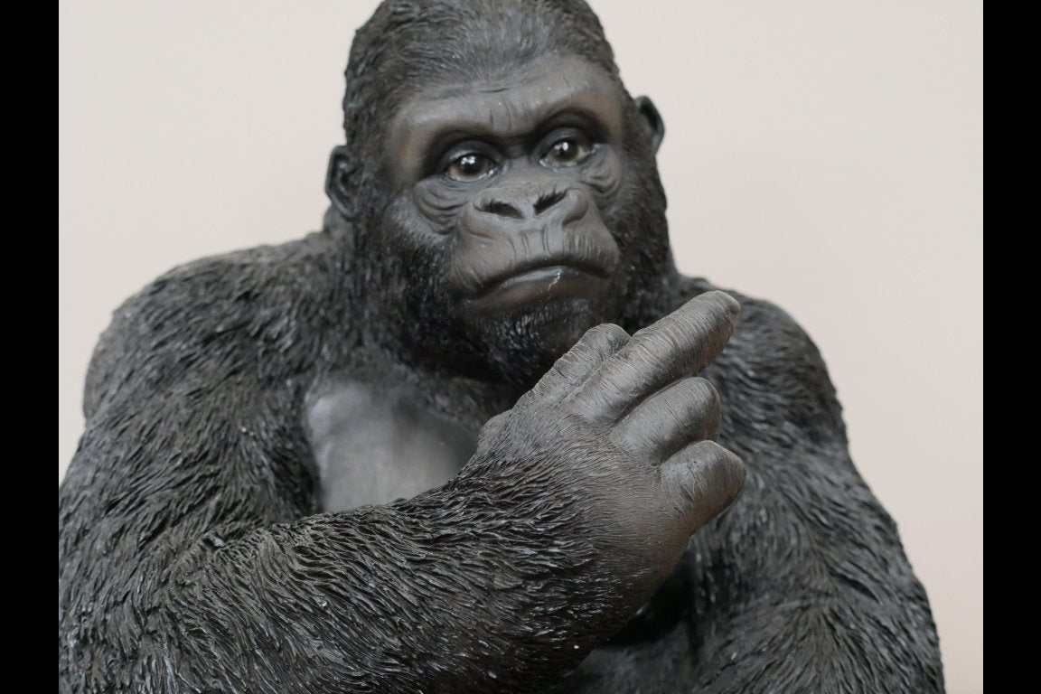 Up Yours Gorilla