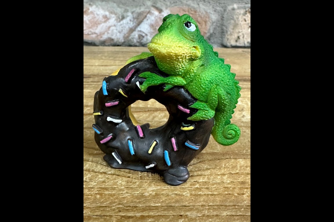 Lizard On A Doughnut