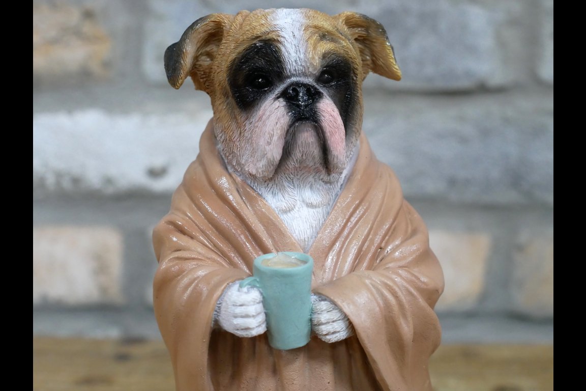 Bedtime Bulldog