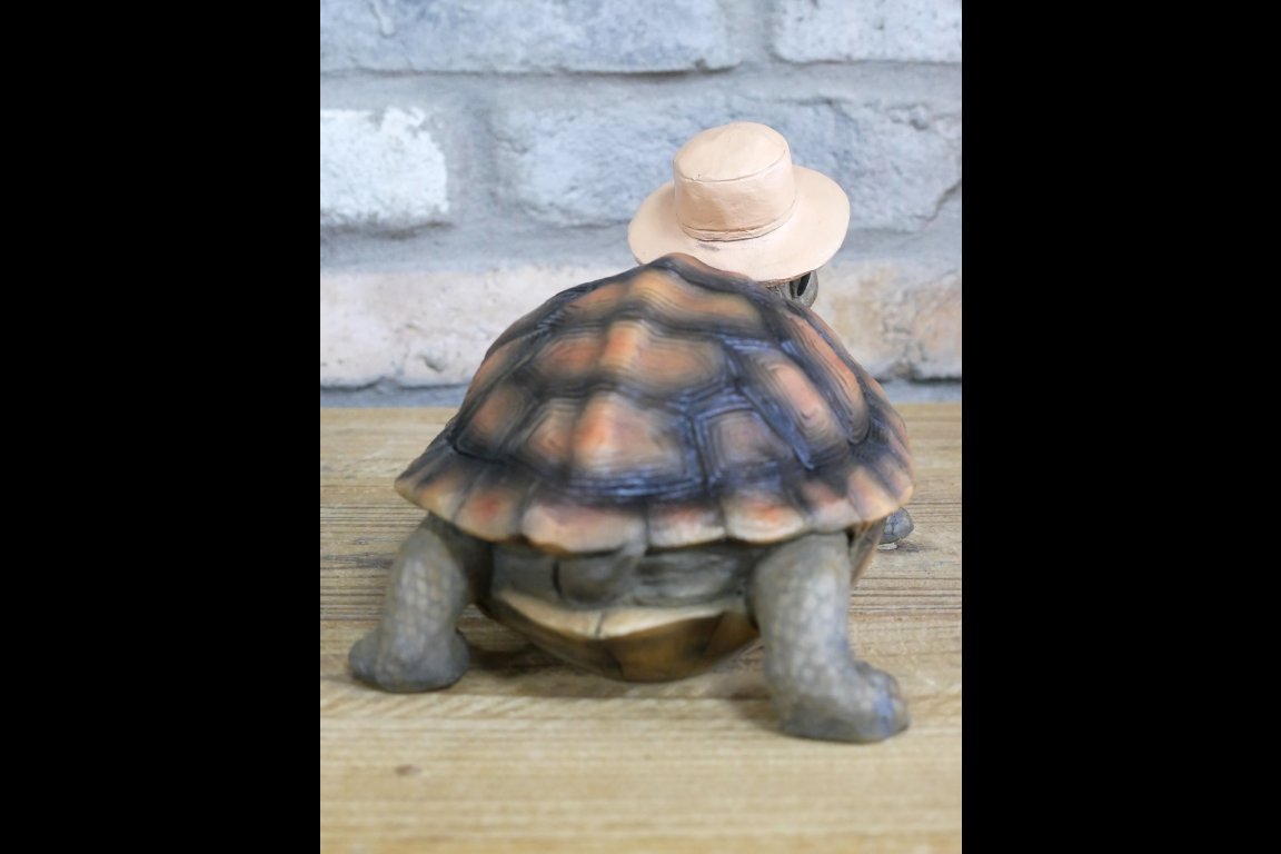 Holiday Tortoise