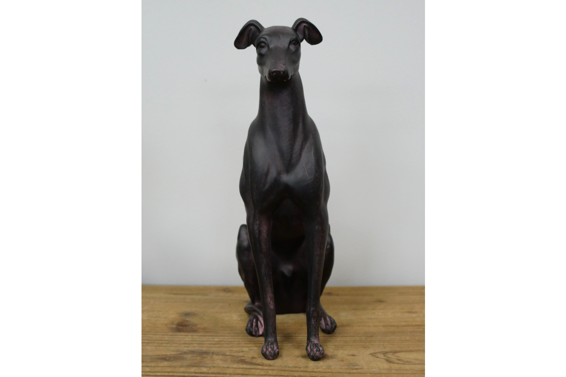 Sitting Dog