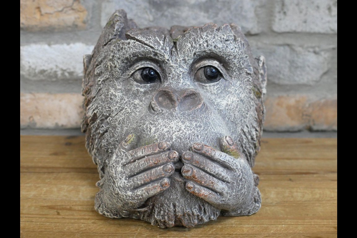 Monkey Head Planter